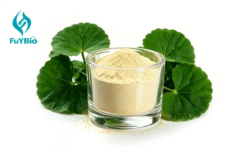 Centella Asiatica Extract 70% Total Triterpenes